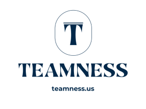 Teamness logo
